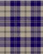 Ailsa Dress Navy Modern Tartan Kilt Fabric