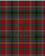 Anderson of Ardbrake Modern Tartan Kilt Fabric
