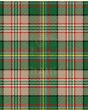 Arizona Modern Tartan Kilt Fabric