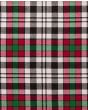Borthwick Dress Modern Tartan Kilt Fabric