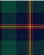 Carmichael Modern Tartan Kilt Fabric
