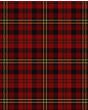 Clan Davis Modern Tartan Kilt Fabric