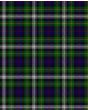 Coutts Dress Modern Tartan Kilt Fabric