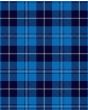 Douglas Variation Tartan Kilt Fabric
