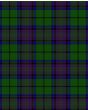 Gary (Garry) Modern Tartan Kilt Fabric