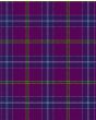 Jackson Modern Tartan Kilt Fabric