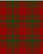 Kyle Green Modern Tartan Kilt Fabric