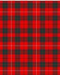 Mackinnon 1842 Modern Tartan Kilt Fabric