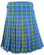 Nova Scotia Modern Tartan Kilt Back