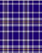 Ochterlony Modern Tartan Kilt Fabric