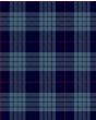 Roberts of Wales Modern Tartan Kilt Fabric