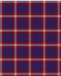 US Coastguard Modern Tartan Kilt Fabric