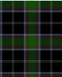 Webster Modern Tartan Kilt Fabric